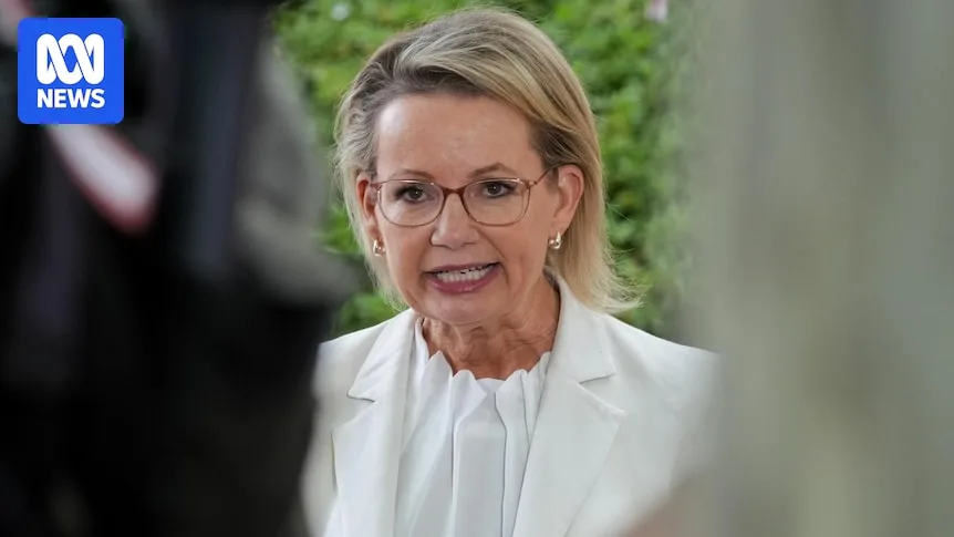 Sussan Ley's Ousting: A Carefully Crafted Narrative