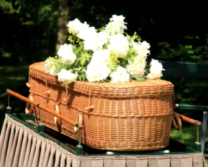 Sustainable Funerals Rise as Australians Embrace Natural Burials