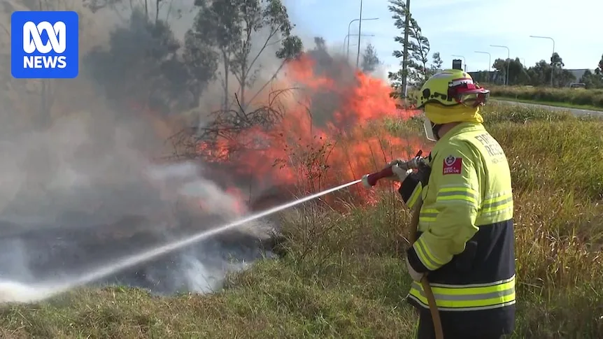 Sydney Grass Fire Downgraded After Threatening Homes, Injuring Several