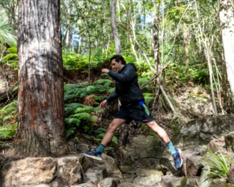 Sydney's New Hornsby Park: An Ancient Volcano Transformed into Bushland