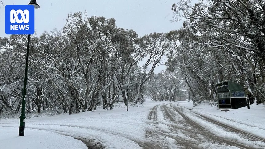 Hiker Rescued After Blizzard Strands Him Near Mount Buller