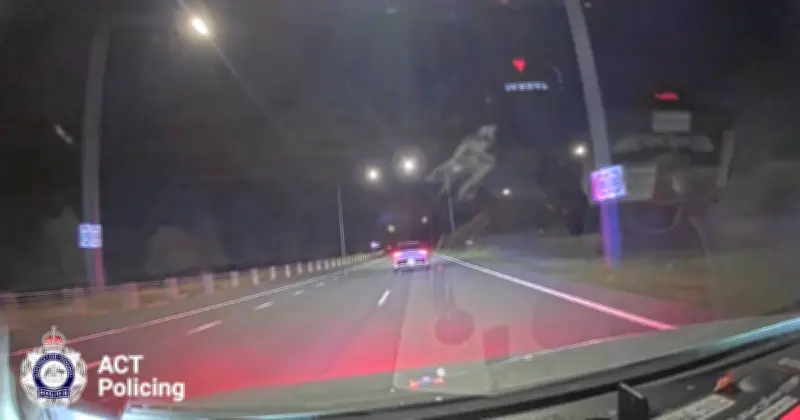 Teens Allegedly Drove at Officer, Hit Police Car in Canberra