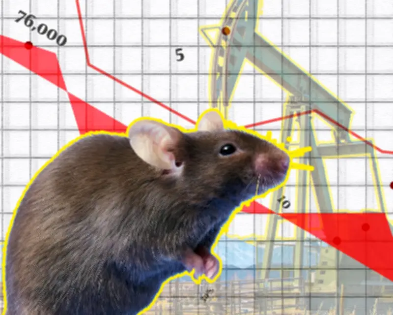 The Crunch: Aussie Musicians Decline, Mouse Plagues, and Oil Drilling
