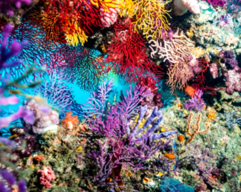 Togetherness by Rowan Hooper Review: A Stunning Portrait of Cooperation in Nature