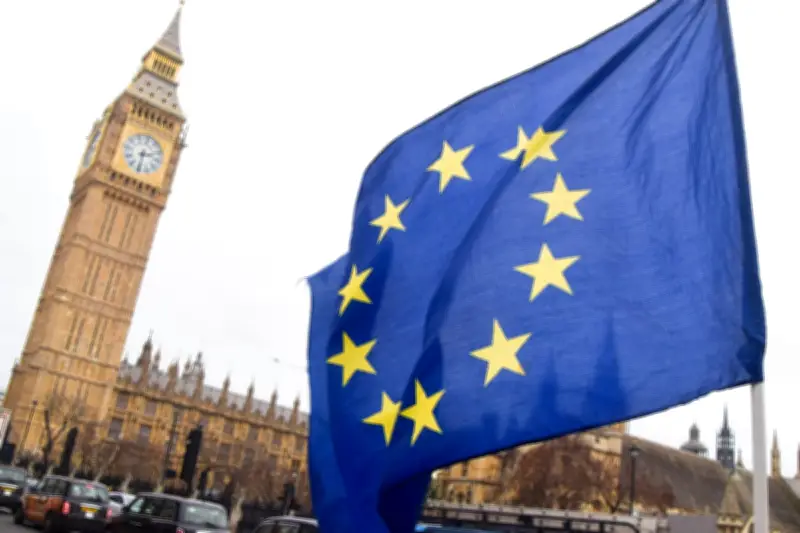 Tories Must Face Brexit Truth for Closer EU Ties, Says Report