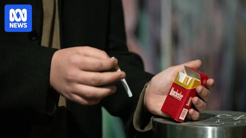 Tough Tobacco Laws Help Butt Out Illegal Cigarettes