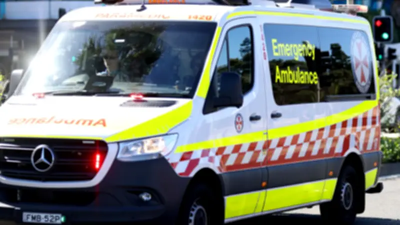 Tragic Details Emerge After Two Children Die in Hot Cars in Sydney