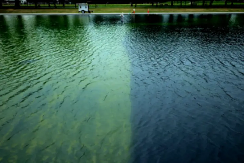 Trump Admin Compares Reflecting Pool Algae Battle to Iran War