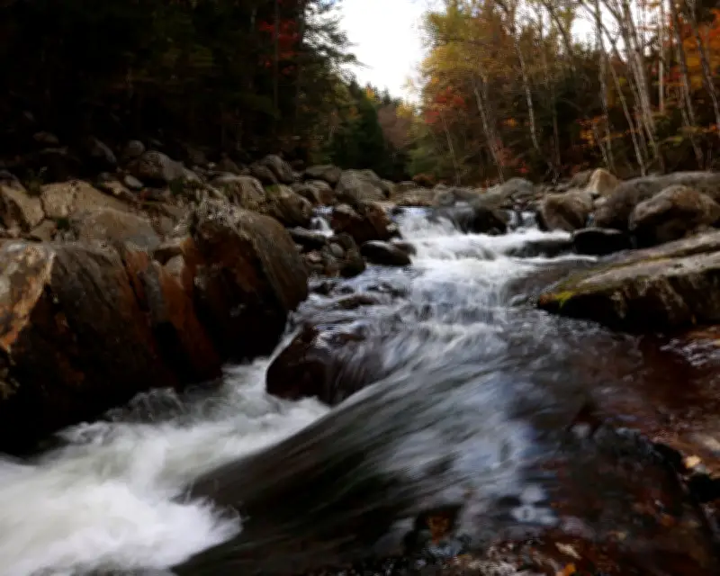 Trump administration aims to scrap Roadless Rule protecting 58 million acres of national forests
