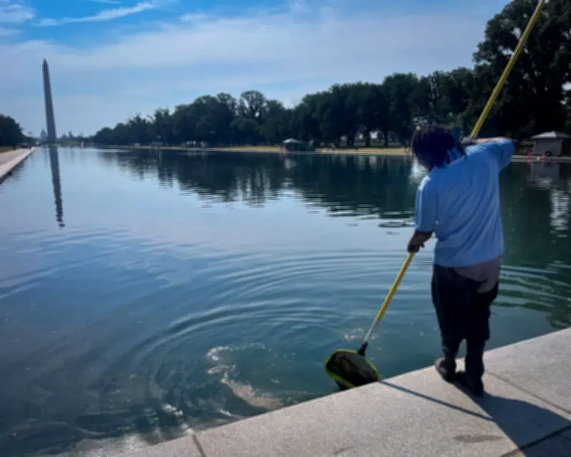 Trump Drains White House Reflecting Pool, Sparking Controversy