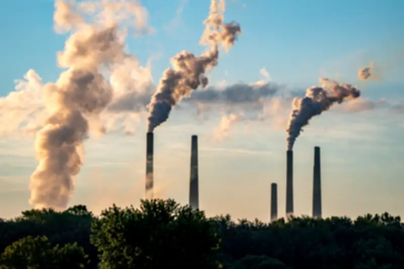 Trump EPA Court Ruling on Soot Pollution: What You Need to Know