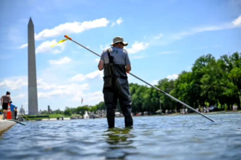 Trump's $14m Reflecting Pool Renovation Hit by Algae, Peeling Paint, and Vandalism Claims