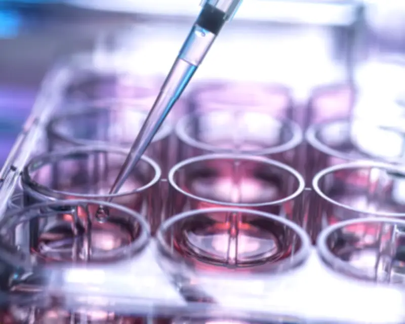 UK Stem Cell System 'Not Fit for Purpose,' MPs Warn, Risking Lives