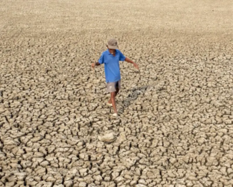 UN Warns: El Niño Return Imminent, 80% Chance Before September