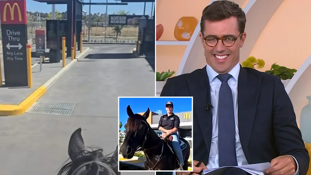 Horse named Bronson visits McDonald's drive-thru in Googong, goes viral