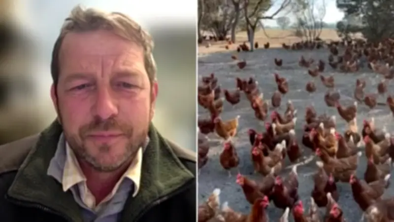 WA Poultry Farmer 'Very Concerned' After Second H5N1 Bird Flu Case