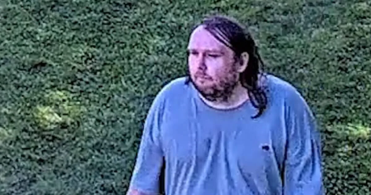 Police Seek Man After Vandalism of War Memorial Sculpture