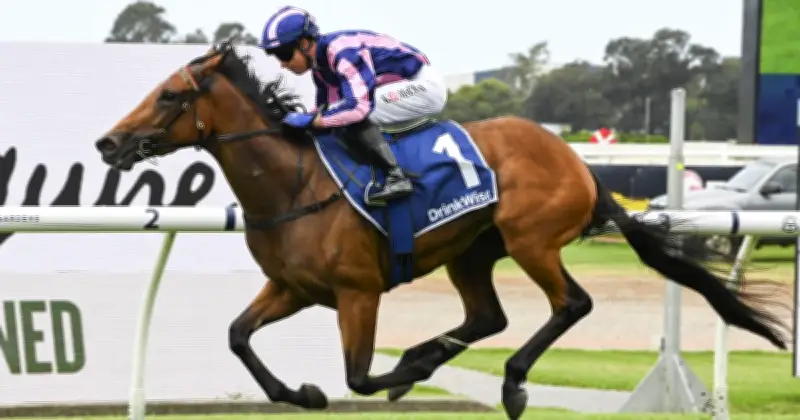 Warwick Farm Racing Tips: Aye Aye Captain Ready to Return in Final Race