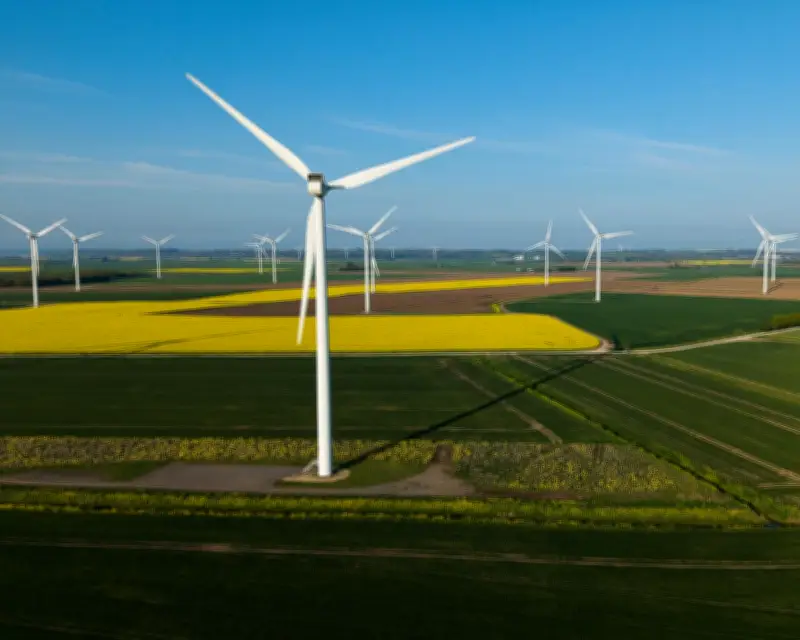 Weakening Net Zero Policy Could Damage Economy: Climate Committee