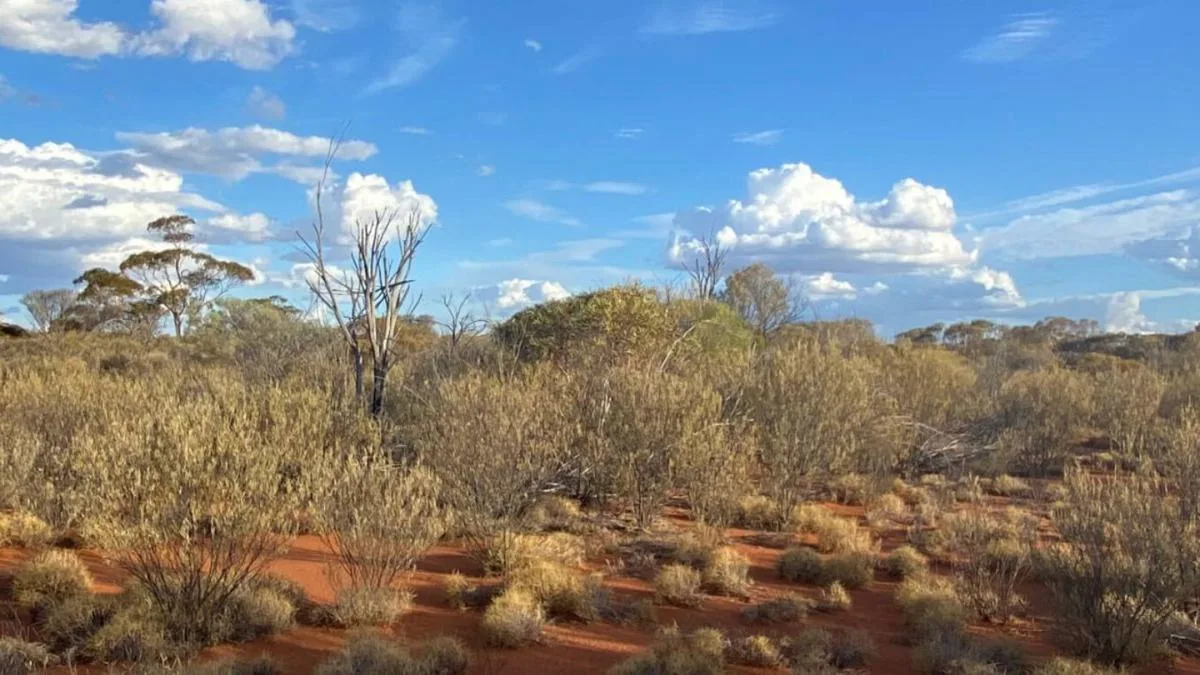 Western Mines Secures $250K Grant for Mulga Tank Seismic Survey