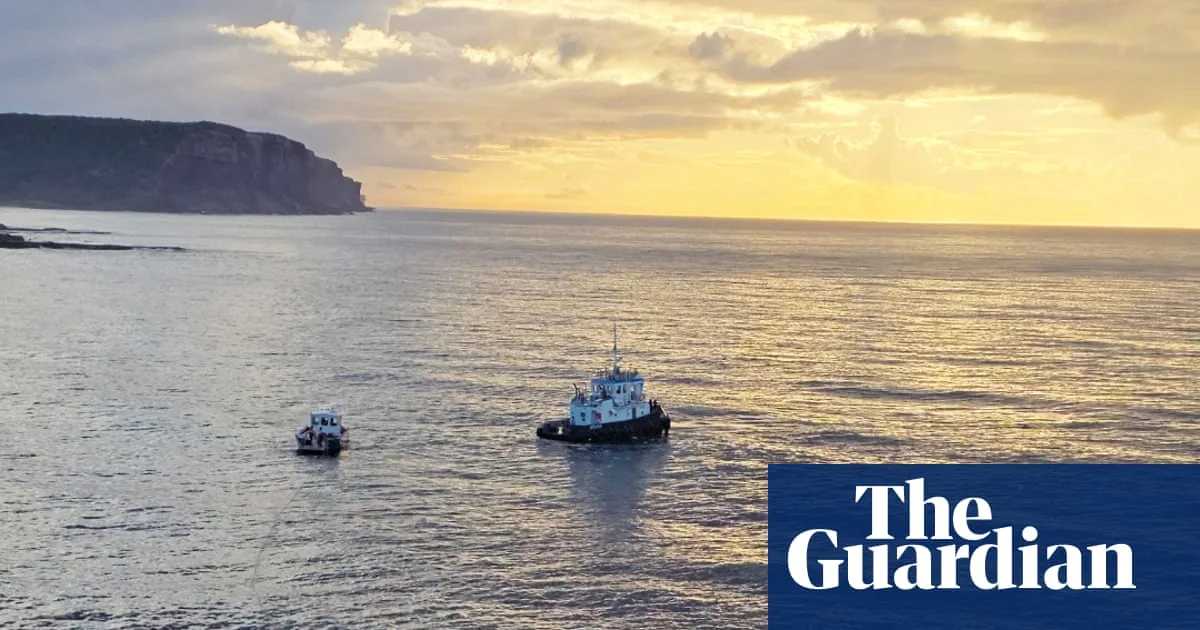 Whale Carcass Towing Sparks Safety Concerns After Sharks Swarm Near Wollongong