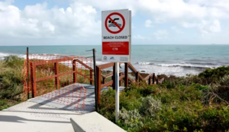 Whale Carcass Washes Ashore at Cottesloe Beach, Forcing Closure