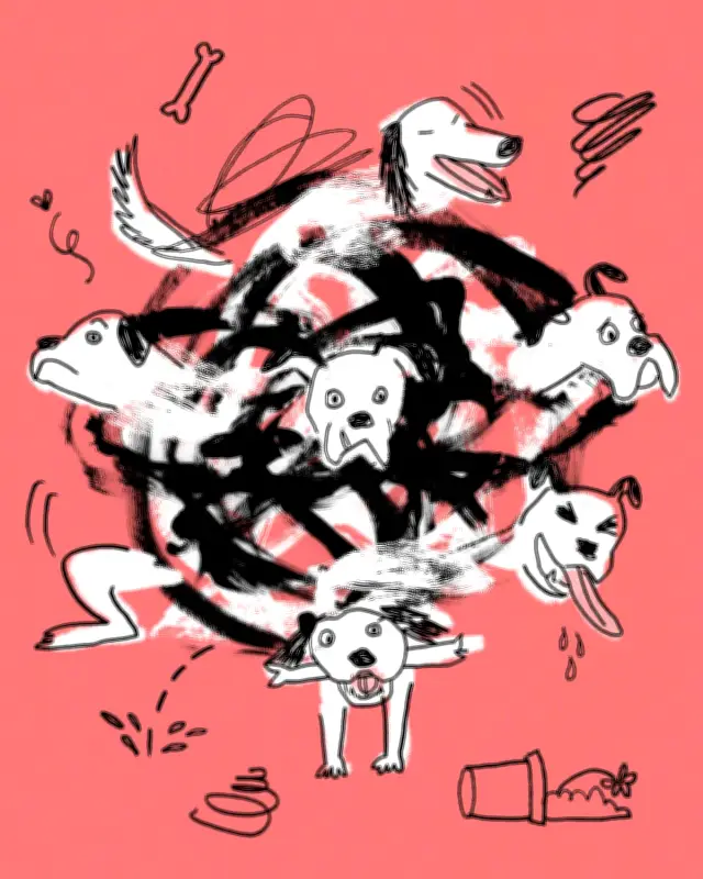 What Training My Chaotic Dog Taught Me About Power, Control and Human Beings