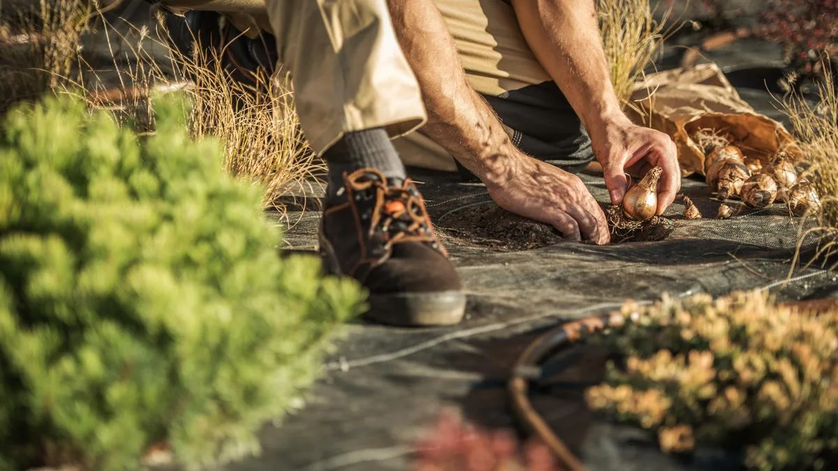 Autumn: The Most Generous Season in the Garden