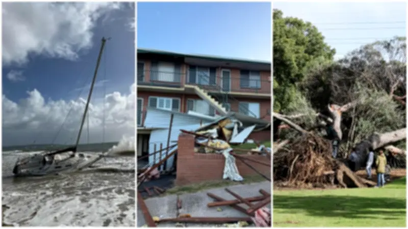 Wild Storm Smashes WA, Heads East: Thousands Without Power