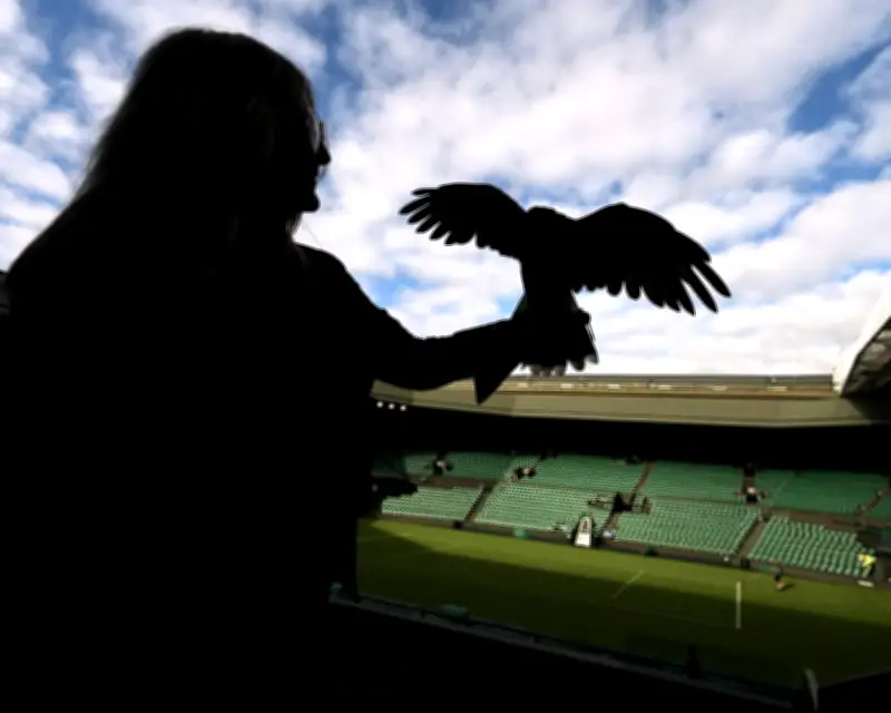 Wimbledon 2026 Day One: Sinner, Sabalenka, Djokovic in Action