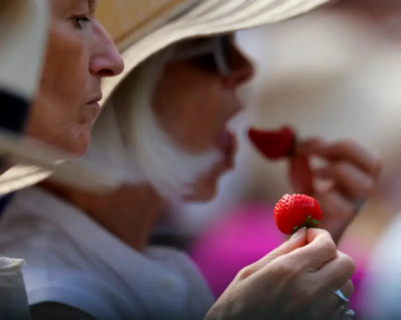 Wimbledon's Obsession with Perfect Strawberries Ignores Real-World Issues