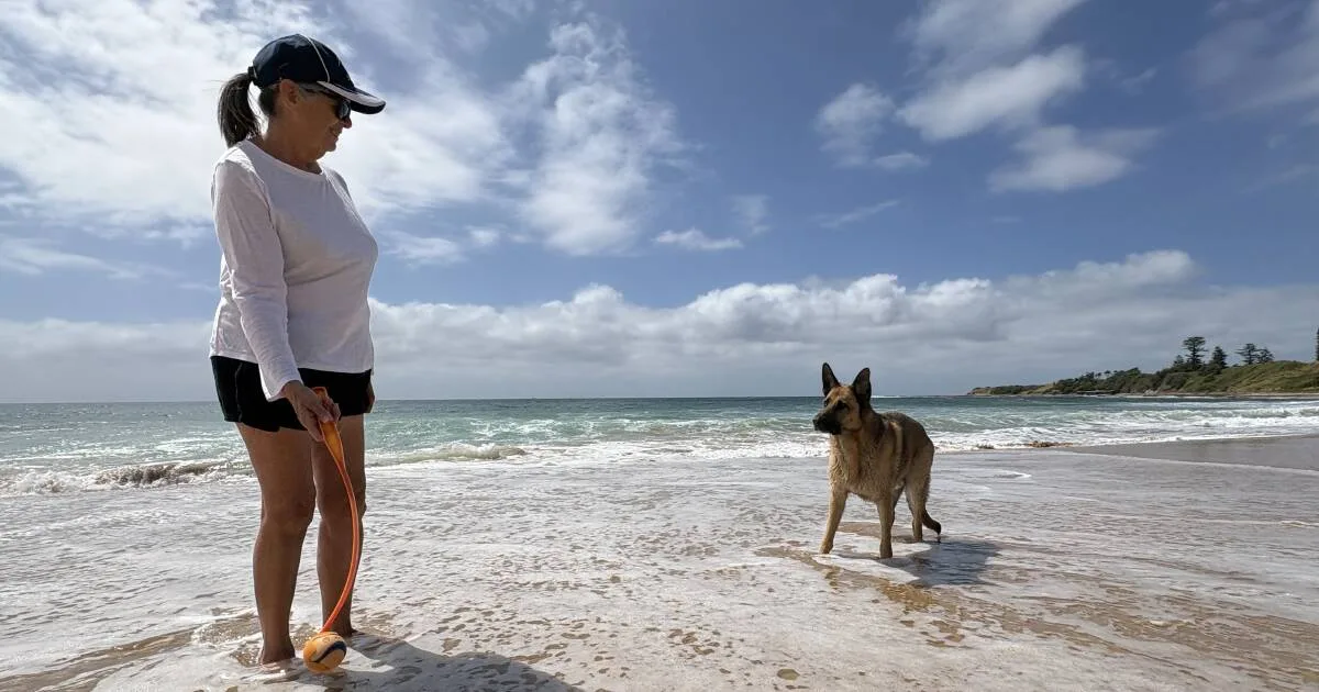 Wollongong Council Proposes Major Cuts to Off-Leash Dog Area at McCauleys Beach