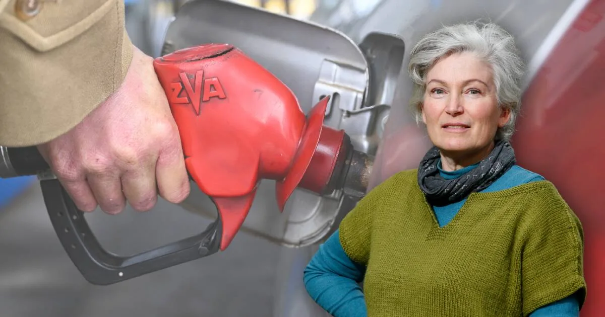 Wollongong Council Backs Fuel Crisis Transport Subsidy