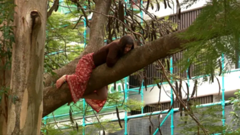 Woman removed from tree after 24-hour protest at Brisbane urban farm
