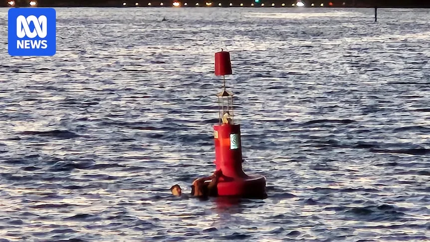 Two Police Officers to Be Nominated for Bravery Award After Swan River Rescue