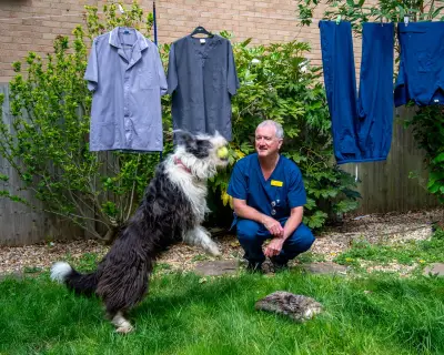 A New Start After 60: Finding a Job in Online Nursing