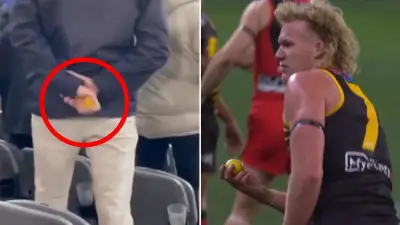 AFL Fan Banned Five Years for Throwing Lemon at Player