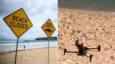 AI Drones Could Patrol Sydney Beaches for Sharks This Summer