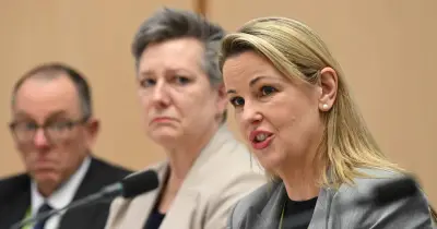 ANU Governance Crisis Costs University $100 Million in Damages