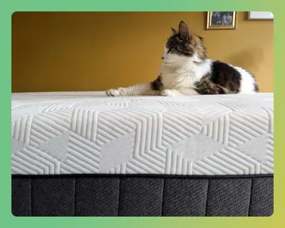 Best Mattress 2025: Top Picks for Every Sleeper