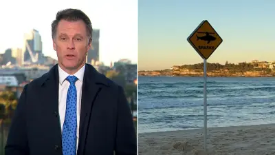 Bondi Beach Closed After Great White Shark Sighting