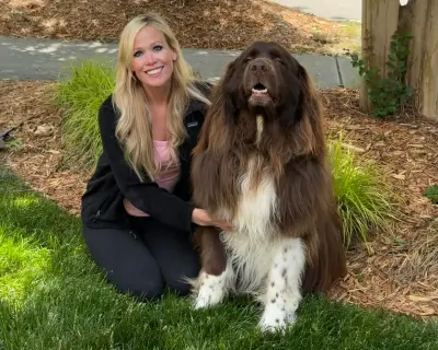 Chewy the Newfoundland: Gardening, Rescues, and Unconditional Love
