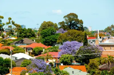 Cottesloe Council Reviews Tree Policy to Protect Significant Trees on Private Land