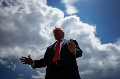 Experts Warn Trump 'Inventing Fraud' in California Elections