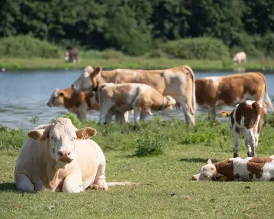 Farmers Slam Plan to Warn of Climate Crisis Impact on Food Prices