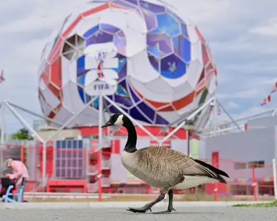 Geopolitics World Cup Week: Hope, Memes, and Dreams Await