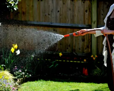 Hosepipe Ban Imposed in South East Amid Heatwave Surge