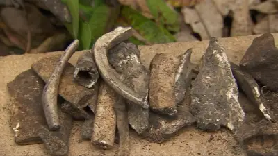 Human remains found in backyard turn out to be historical teaching skeleton