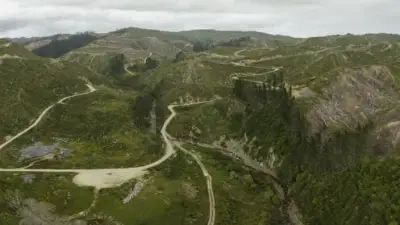 NZ Forestry Rules: Consistency vs Environmental Risk