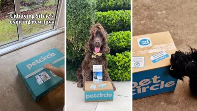 Pet Circle's Huge EOFY Sale: Up to 50% Off Top Pet Brands